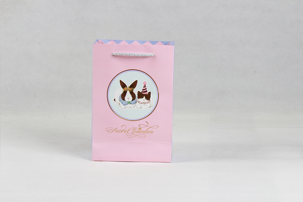 時尚卡通禮品銅版紙袋定制 時尚卡通禮品銅版紙袋定制