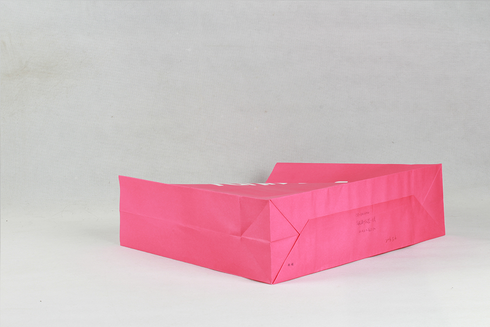 時(shí)尚簡(jiǎn)約型牛皮紙袋 funky fish