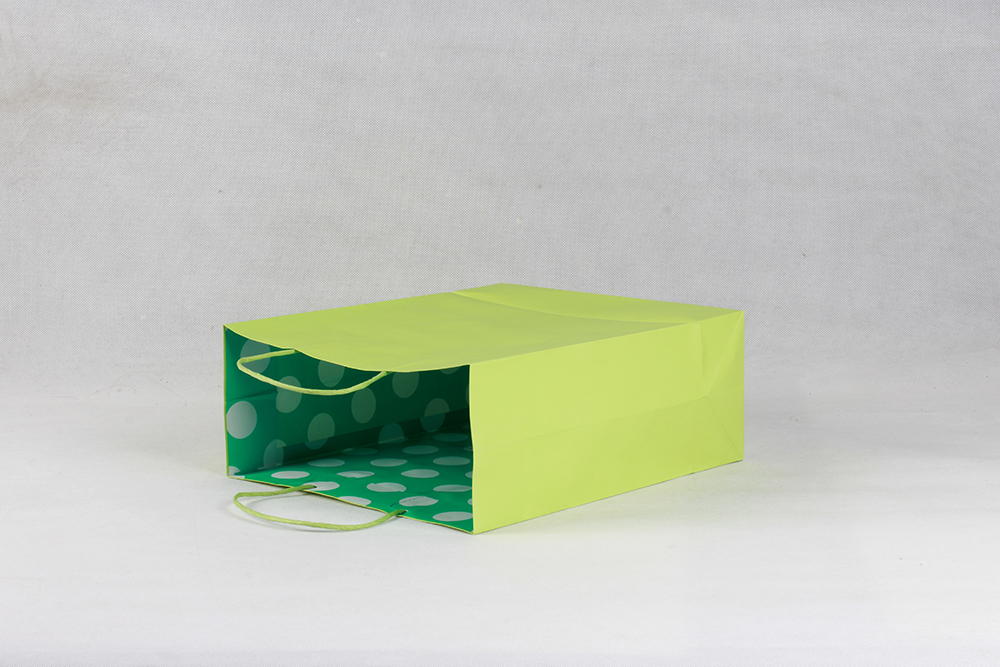 簡(jiǎn)約時(shí)尚型銅版紙袋 簡(jiǎn)約時(shí)尚型銅版紙袋